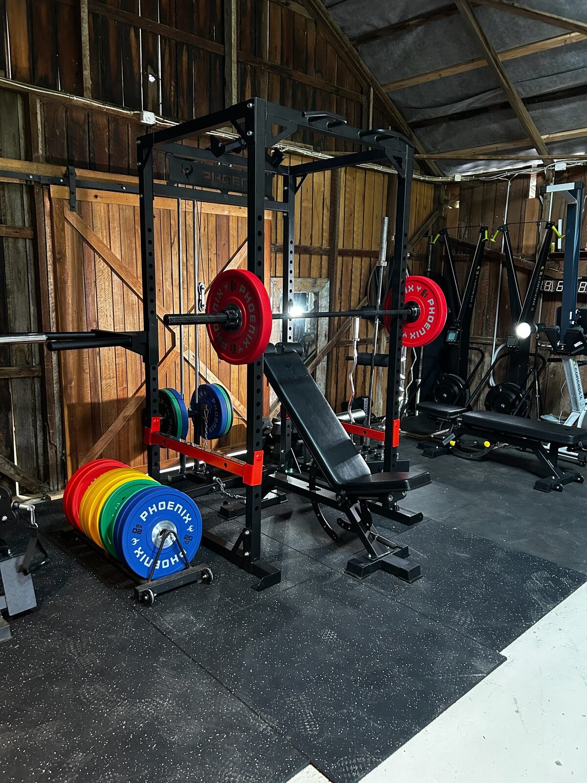 Phoenix LCPC Pro power cage with lat pulldown and seated row