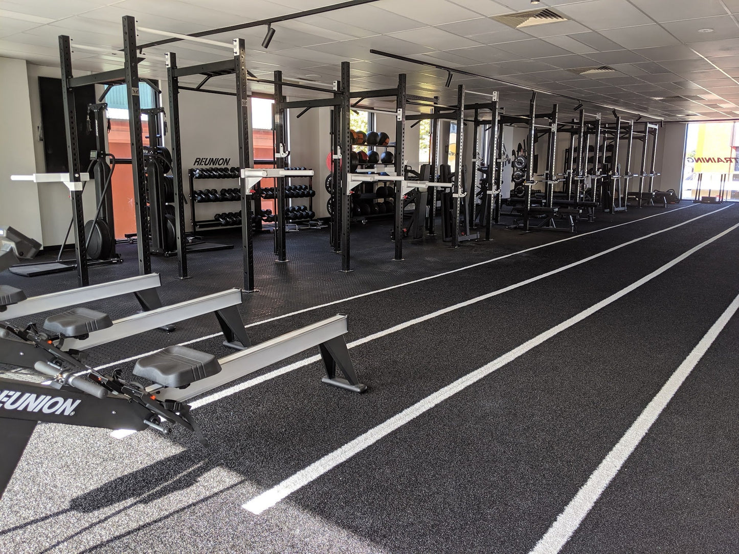 Phoenix Strength Free Standing Rig 1 Cell