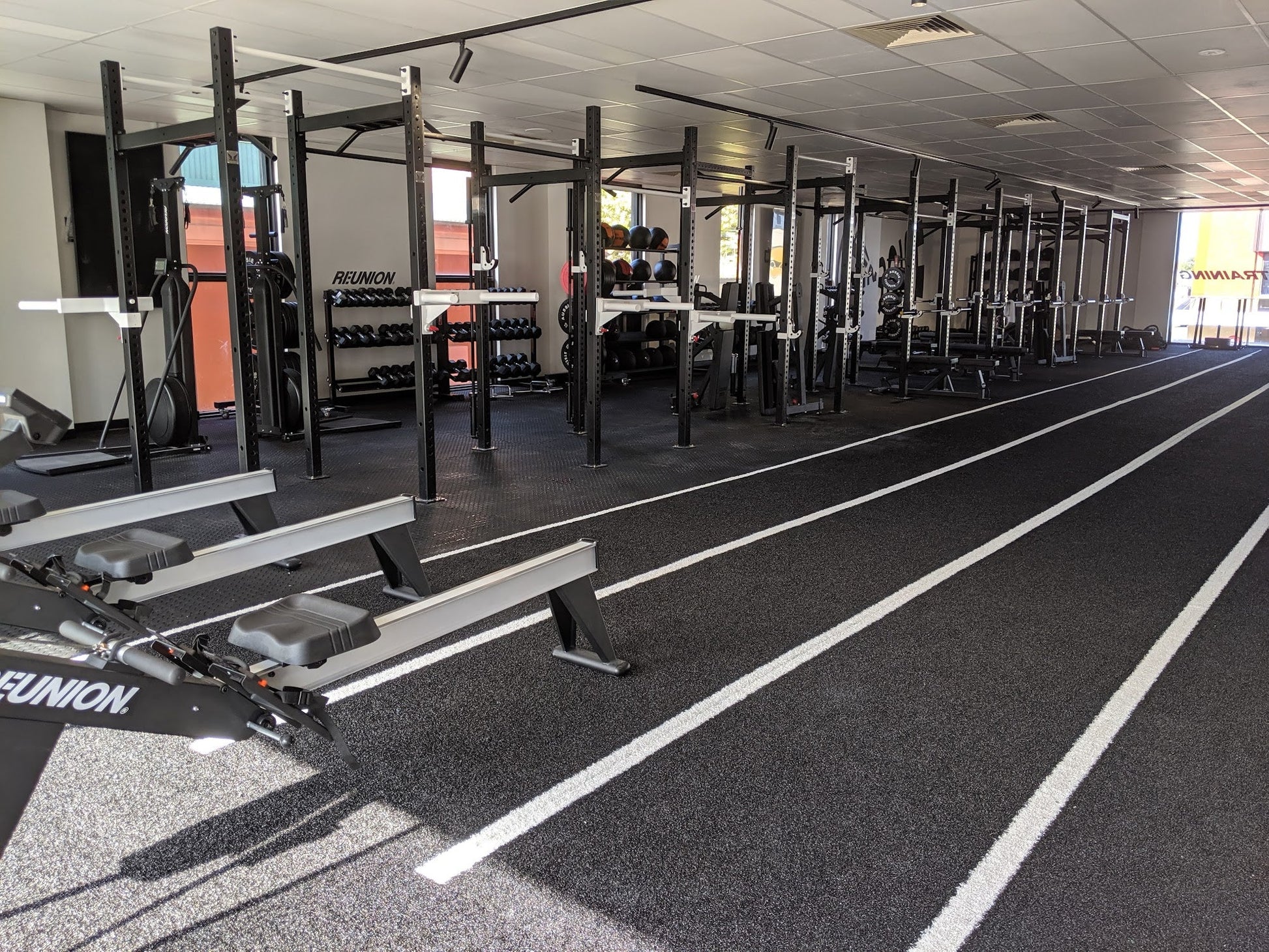 Phoenix Strength Free Standing Rig 1 Cell