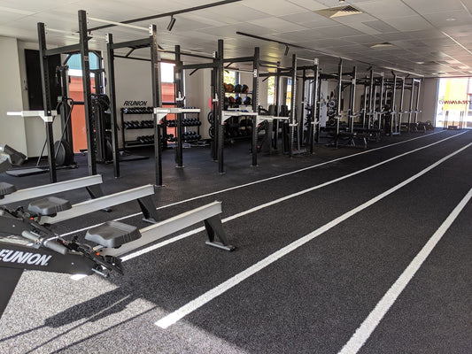 Phoenix Strength Free Standing Rig 1 Cell