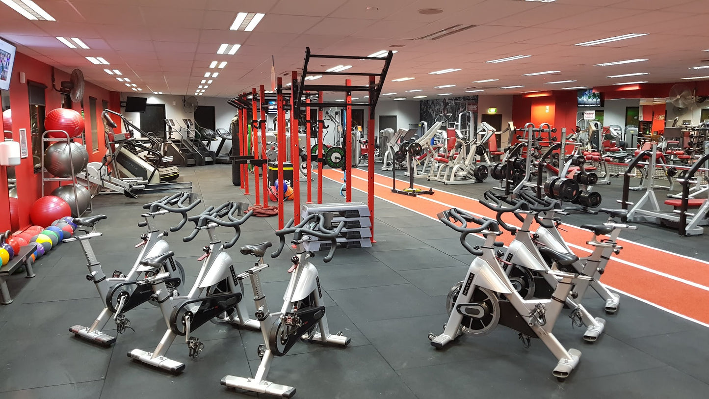 Commercial astro turf gym flooring - Phoenix Strength