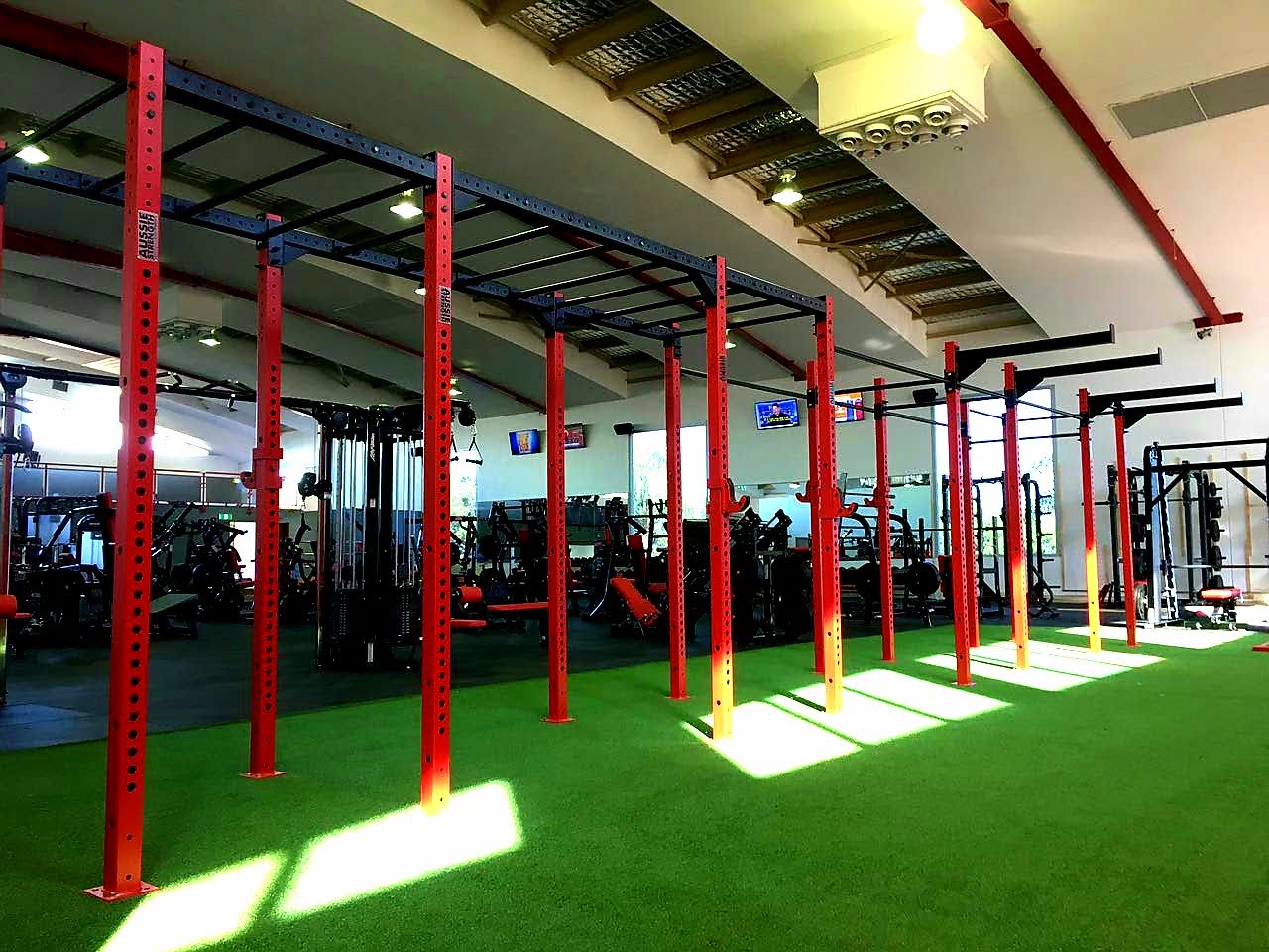 Phoenix Strength Wall Mounted Rig 2 Cell