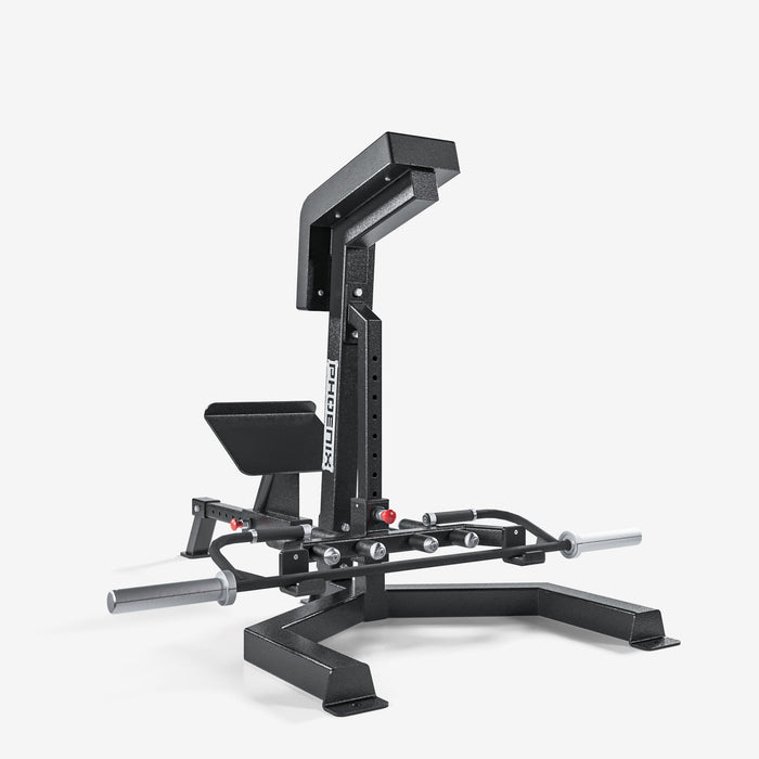 Bent Over Row Bench