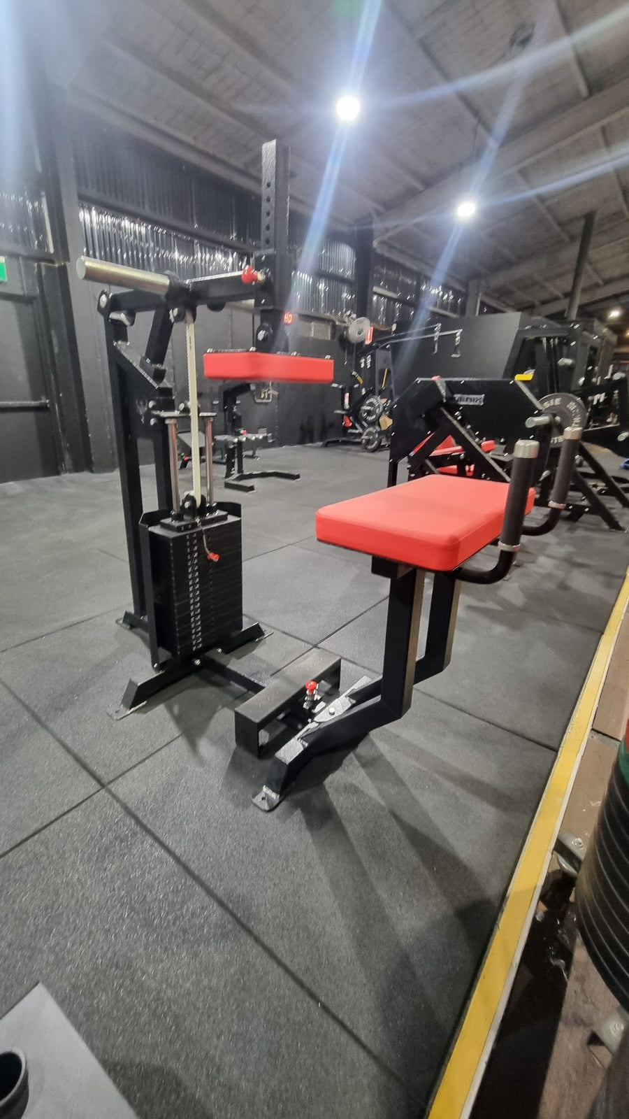 Donkey Calf Raise