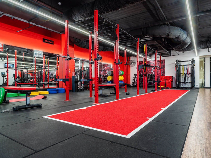 Free standing 3 cell — monkey bars