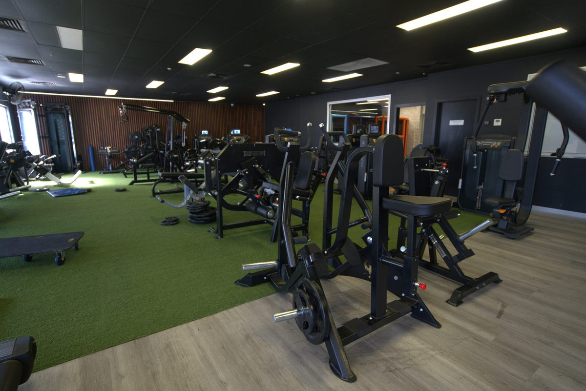 Phoenix Strength Bilateral Row 2