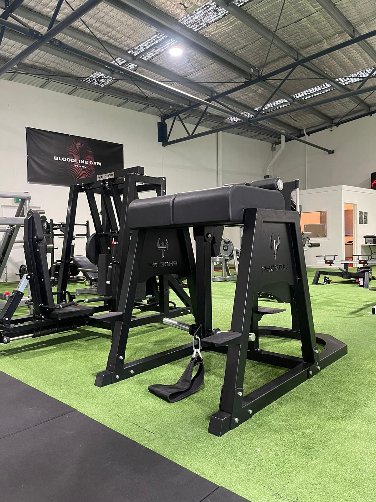 Phoenix Strength FrankenHyper - GHD Reverse Hyper Hybrid