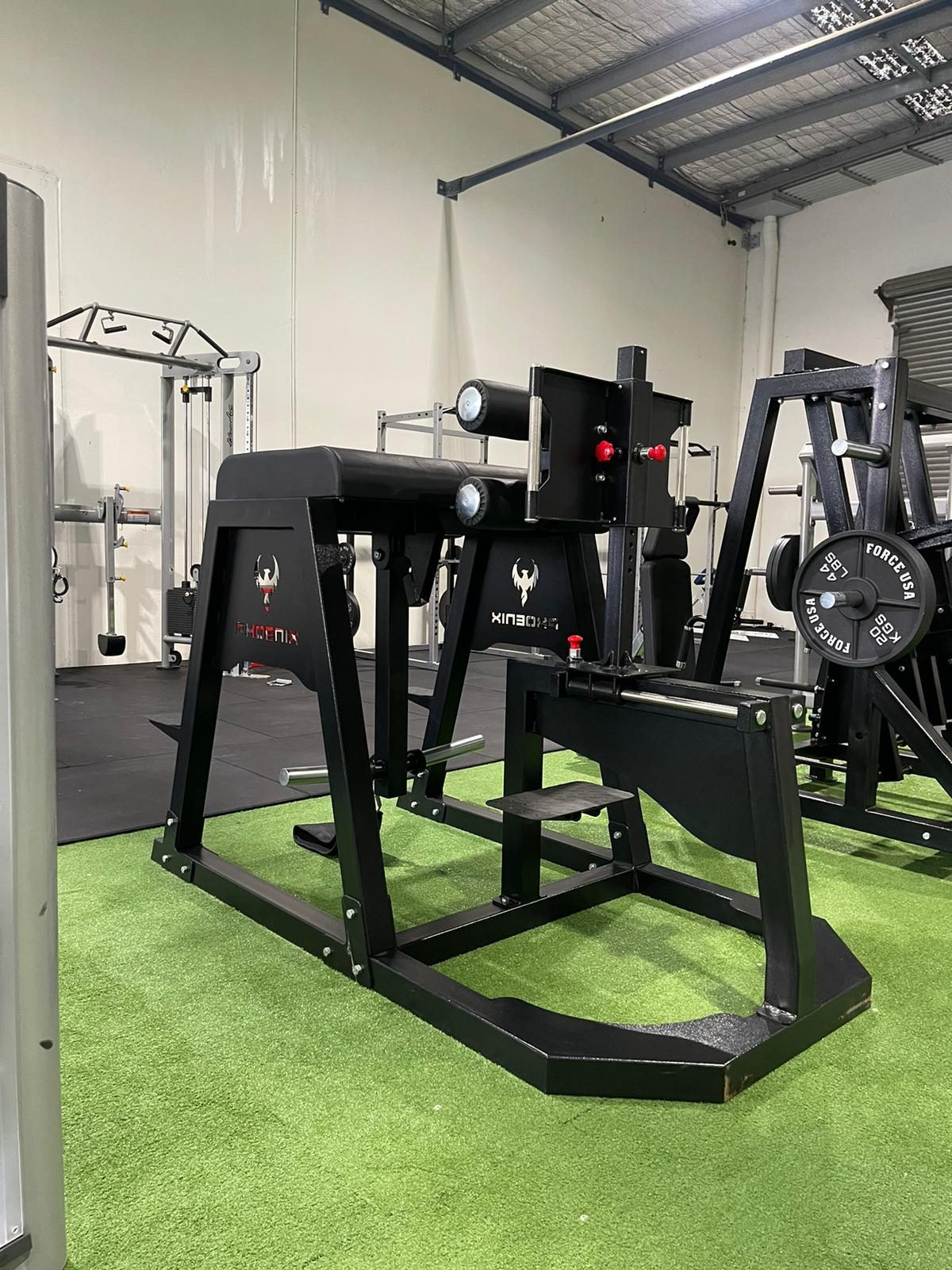 Phoenix Strength FrankenHyper - GHD Reverse Hyper Hybrid 2