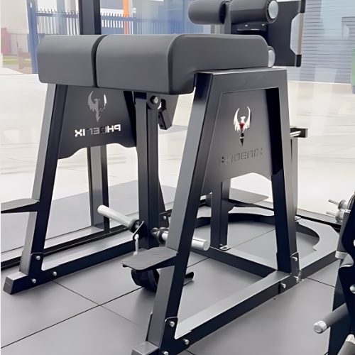 Phoenix Strength FrankenHyper - GHD Reverse Hyper Hybrid 3