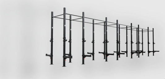 Phoenix free standing 4 cell rig, sixteen uprights, 3D render