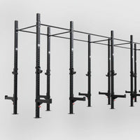 Phoenix free standing 4 cell rig, sixteen uprights, 3D render