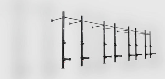 Phoenix wall mounted 4 cell rig, eight uprights, 3D render