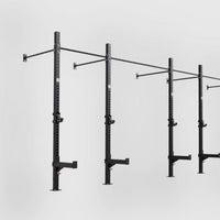 Phoenix wall mounted 4 cell rig, eight uprights, 3D render