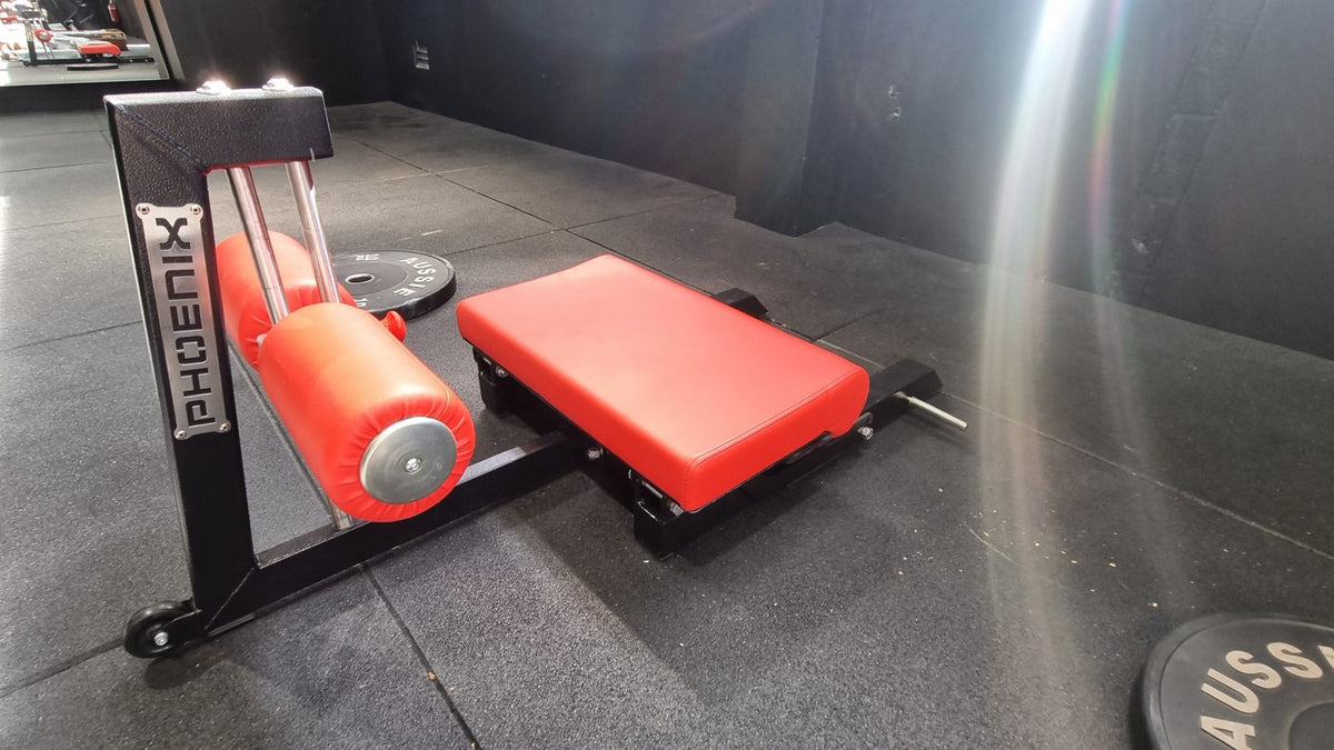 Phoenix Strength Sissy Squat / Nordic Curl Combo