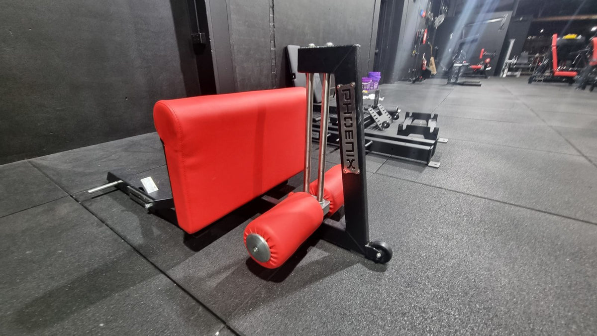 Phoenix Strength Sissy Squat / Nordic Curl Combo 3