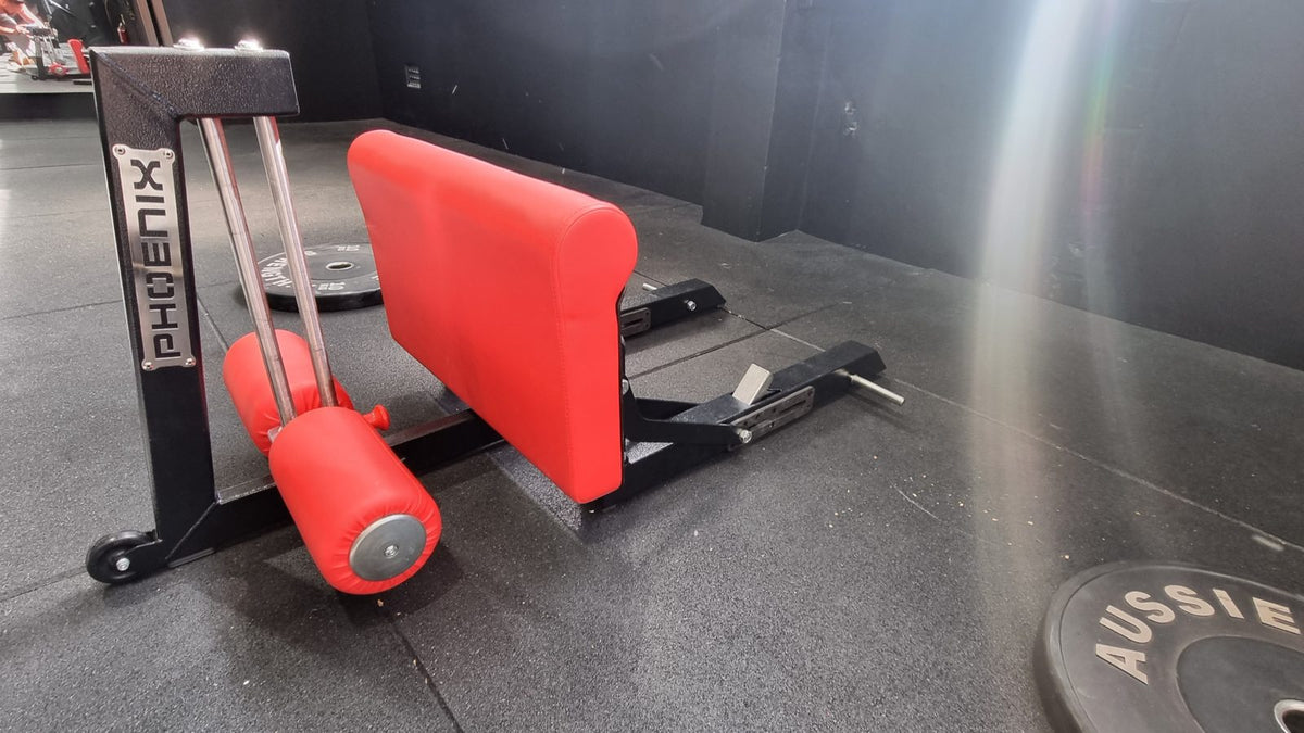 Phoenix Strength Sissy Squat / Nordic Curl Combo 4