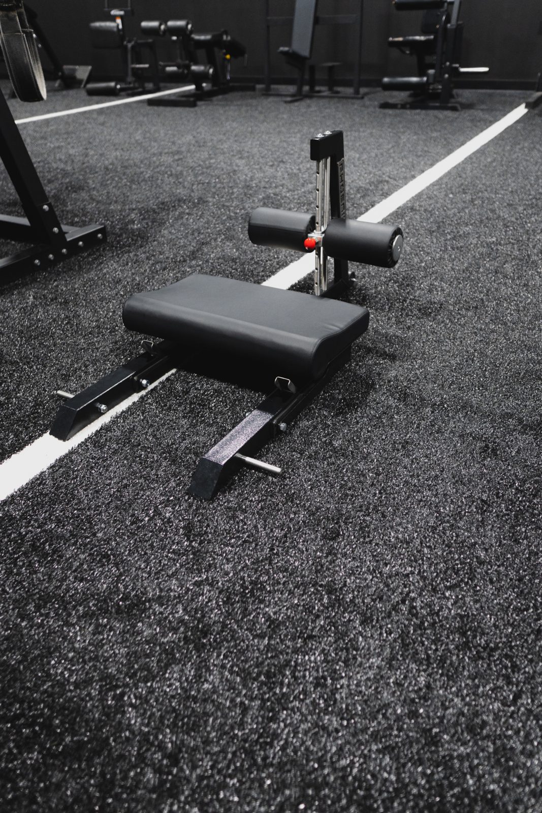 Phoenix Strength Sissy Squat / Nordic Curl Combo 6